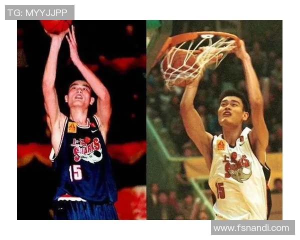 赵县姚明飞的传奇人生与篮球梦想的追逐之路 赵县姚明飞的传奇人生与篮球梦想的追逐之路