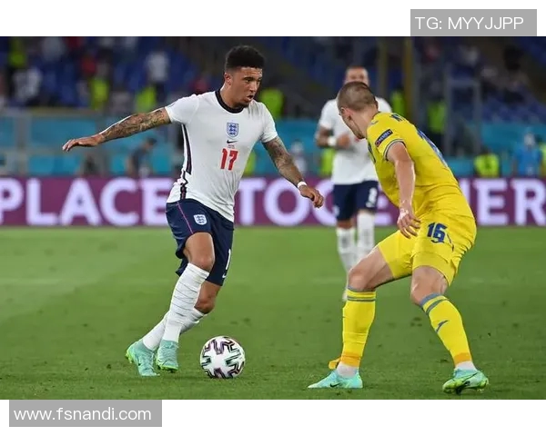 斯洛文尼亚足球明星现役球员风采与成就全解析